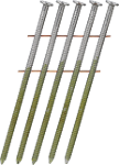HLxxAPBF-CN-ANGLE_01.psd