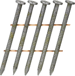 SExxAPBV-CN-ANGLE_01.psd